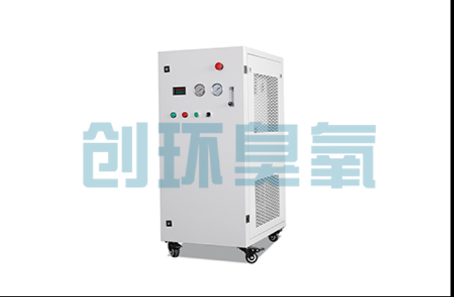 娄底工厂化养鲈必看:2026年臭氧发生器替代传统消毒的最新方案