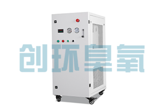 娄底石斑鱼养殖水质调控完整指南:臭氧发生器配置与操作步骤