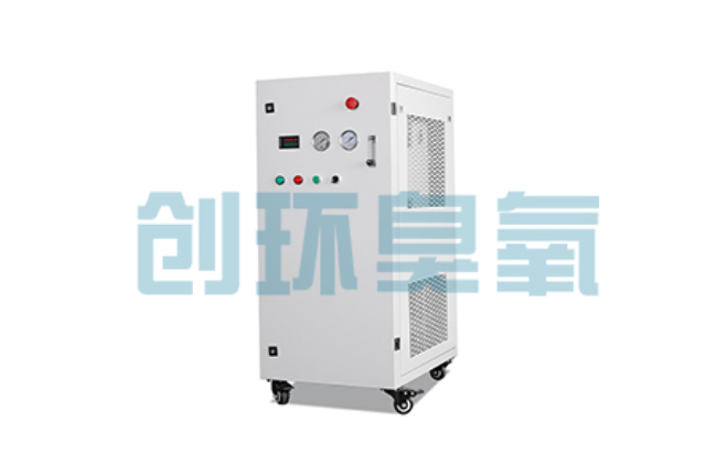 娄底比传统换水更高效?臭氧发生器在石斑鱼养殖中的水质净化原理解析