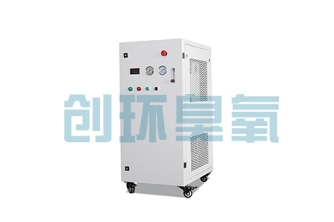 娄底比传统换水更高效?臭氧发生器在石斑鱼养殖中的水质净化原理解析